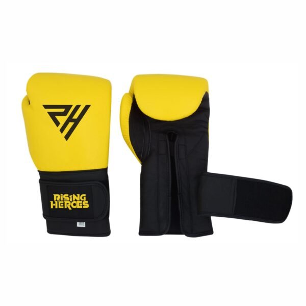 02 Boxing Gloves