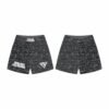 02 MMA Shorts