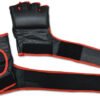 106__55091 MMA Gloves