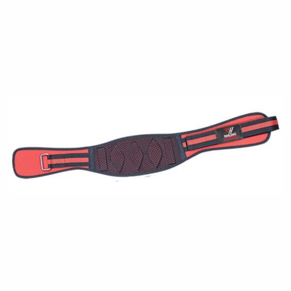 Dipping Belts
