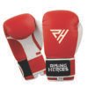 12 Boxing Gloves