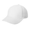 MMA Caps & Hats