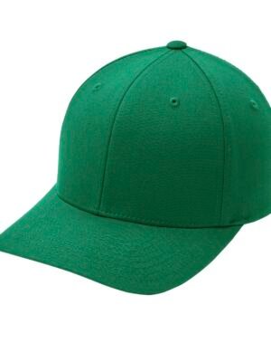 1200W-null (16) MMA Caps & Hats