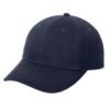 1200W-null (4) MMA Caps & Hats