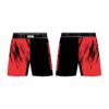 16 MMA Shorts