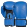 1_3 Boxing Gloves