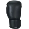 1_3 Boxing Gloves