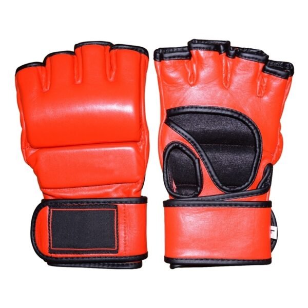 273959046_251_pic_2 MMA Gloves
