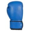 2_3 (1) Boxing Gloves