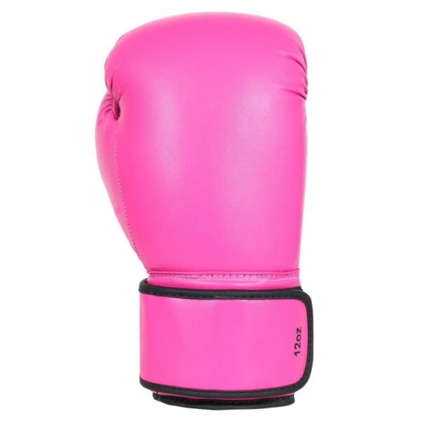 2_4 Boxing Gloves