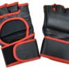 31_2__74141 MMA Gloves