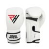 40 Boxing Gloves