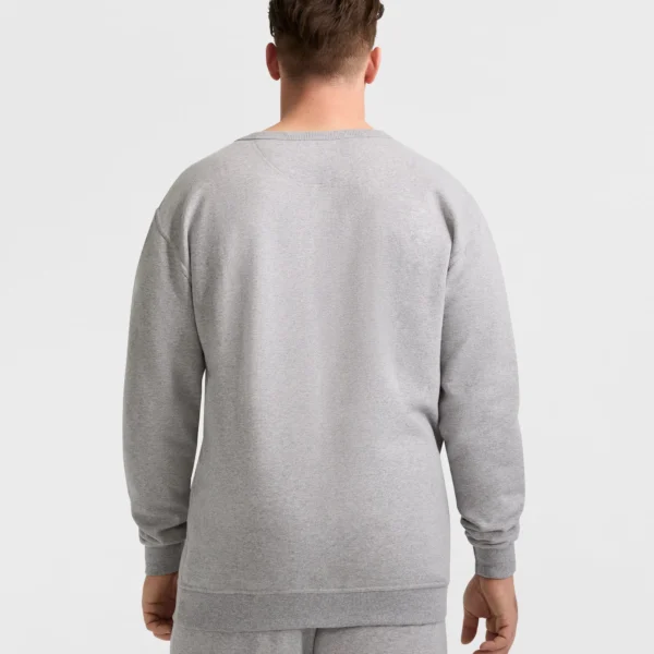 CPM253FC30X_RG73-BACK MMA Sweatshirts