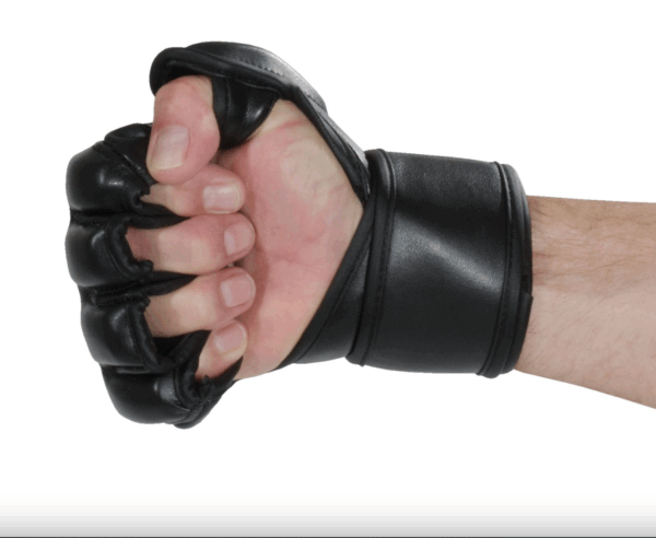 Screenshot 2025-10-04 at 4.10.17 pm MMA Gloves