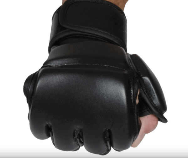 Screenshot 2025-10-04 at 4.10.33 pm MMA Gloves