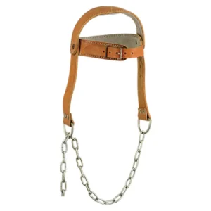 Head Harness